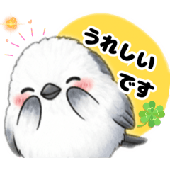 chocotto_20260213154017