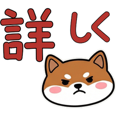 บาเซนจิหน้ากลม ดุ๊กดิ๊ก 22