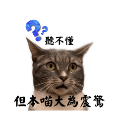 G1ACEON_20260214133812