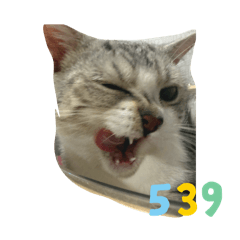 539特派員-2（嘎蛋蛋長大版）