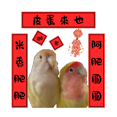 小寶の耍廢日常-第二彈