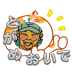 togame.no.matutran_20260215150541