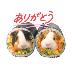 YUZU_20260213211626