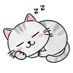 Happy Gray Tabby Cat