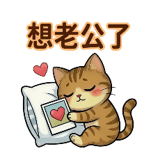 《療癒虎斑貓の日常用語｜老公專用篇》