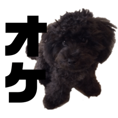 Seigou_20260215154222