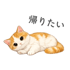 loose cute cat stickers