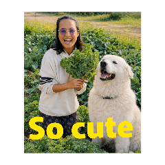 Ranee_20260215161036