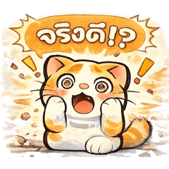 แมวอ้วนรีแอคชั่นจัดเต็ม! ชุดที่ 3