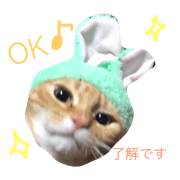 Everyday Rin chan