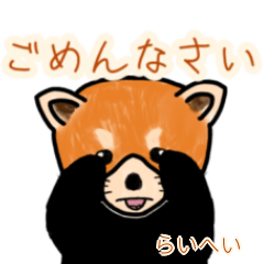 Raihei's lesser panda