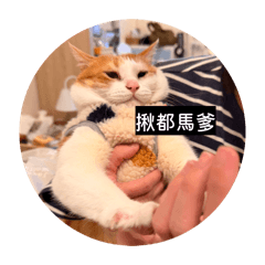 胖嘟嘟穿衣服篇