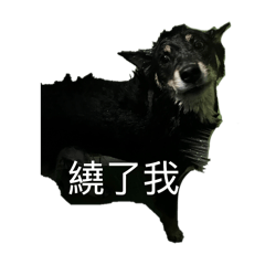 歐魯寶寶2