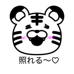 pitsupi_20260215214401