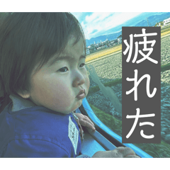 akari_20260215215545