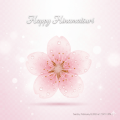 女兒節：露珠櫻花