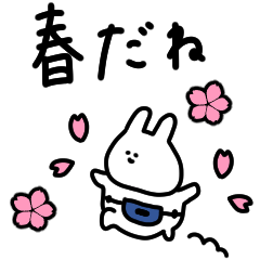 Only rabbits. Warm spring.