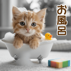 Cute kitten stickers for adults