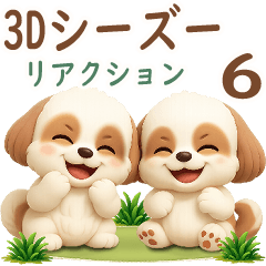 3D Shih tzu 2026 (reaction) 6