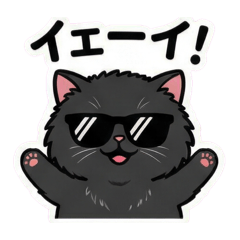 Exotic Shorthair Kuromame1