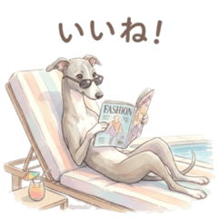 Italian Greyhound Daily Stickers