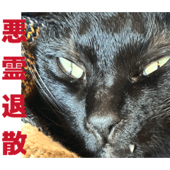 poe lovers_20260215131924