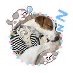 mamarin_20260215171657