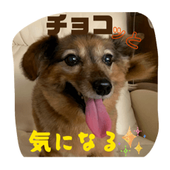 Jared_20260215172452