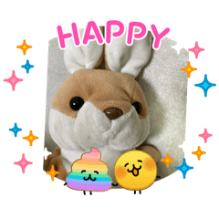 usako_20260211201515