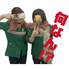 Dachshund_20260212233943