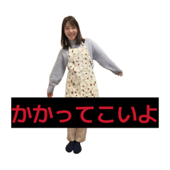 tyokobi_20260212214403