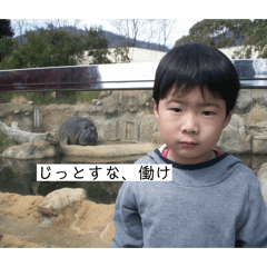 chokko-.(^_^)._20260213002736