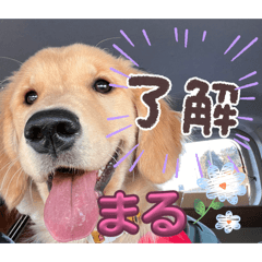 kan.kuro_20260214133707