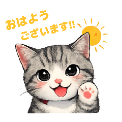 masa_20260214144754