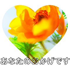 赤坂見附駅心に花を添えて❤️日常挨拶