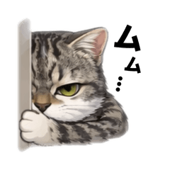 yorino_20260214144926