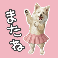 Always With Doggy Vol.3