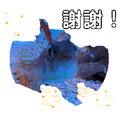 肴なのに喋るやつシュールな肴が訴えてる