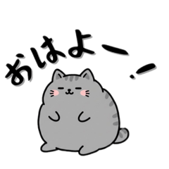 GEGERAS_20260214174230