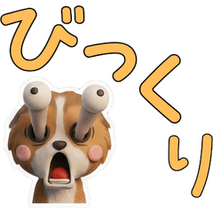 สุนัขเชตแลนด์ชีปด็อก ขยับได้ 28