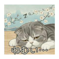 Nicosuki_20260215153257