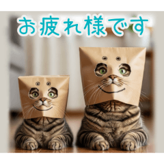 PAKAMOGOLY_20260215184339