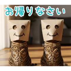 PAKAMOGOLY_20260215184440