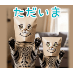 PAKAMOGOLY_20260215184534