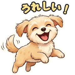 Chihuahua-Poo's Emotions