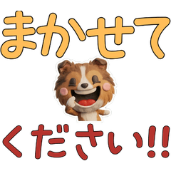 สุนัขเชตแลนด์ชีปด็อก ขยับได้ 30