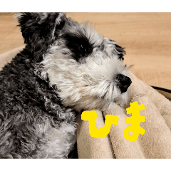 kenji_20260215195423