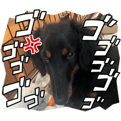 mayu_20260215195904