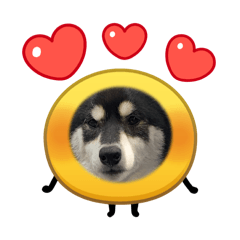 Yamako_20260215200713