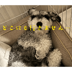 kenji_20260215195642